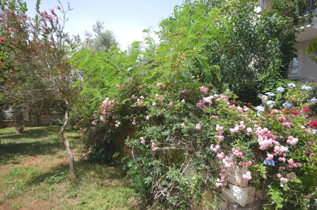 Villa Leton Kleo - Kalkan Center Buitenkant foto